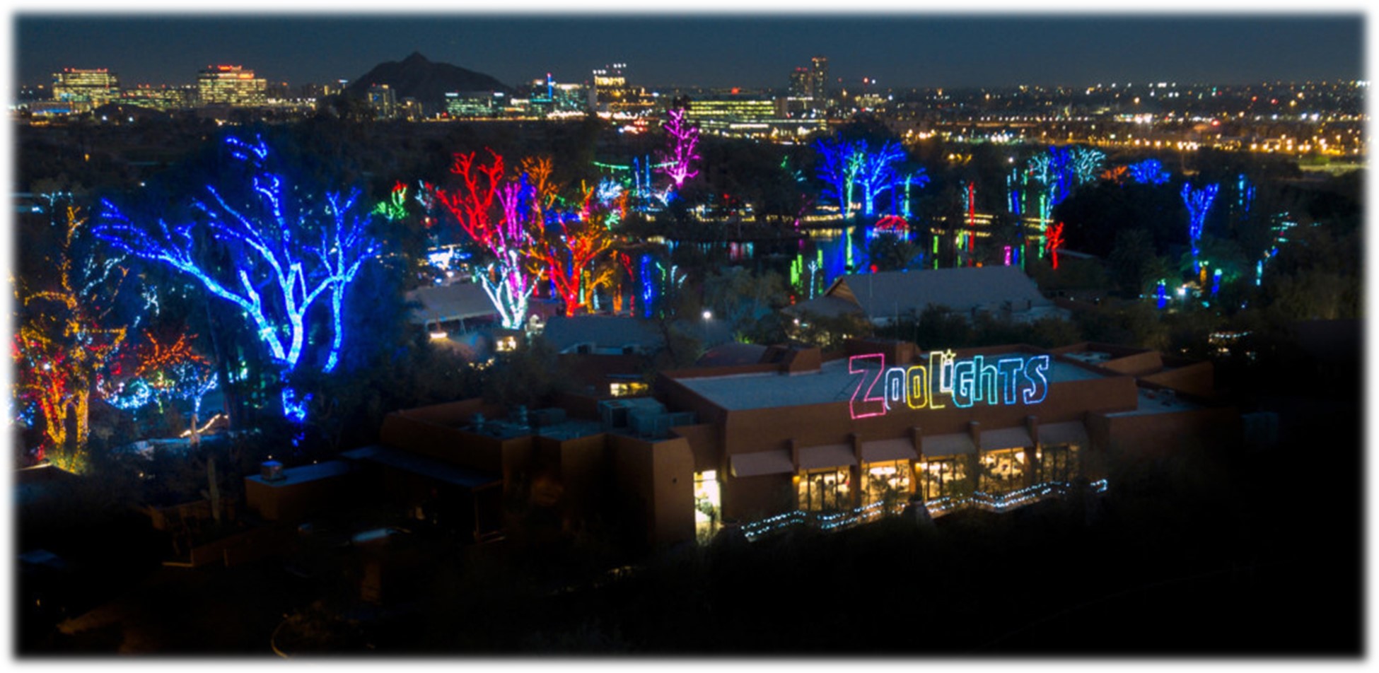 Zoo Lights Masters Touch Tours