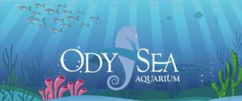 Odysea Aquarium - ODysea 480x201